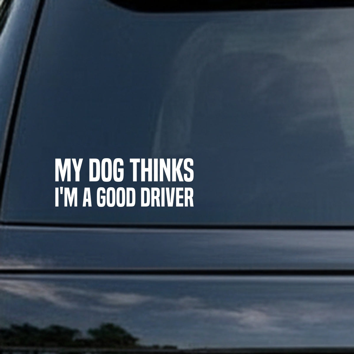 White bold text on black background reading 'My Dog Thinks I'm A Good Driver' in uppercase letters, simple and clear design