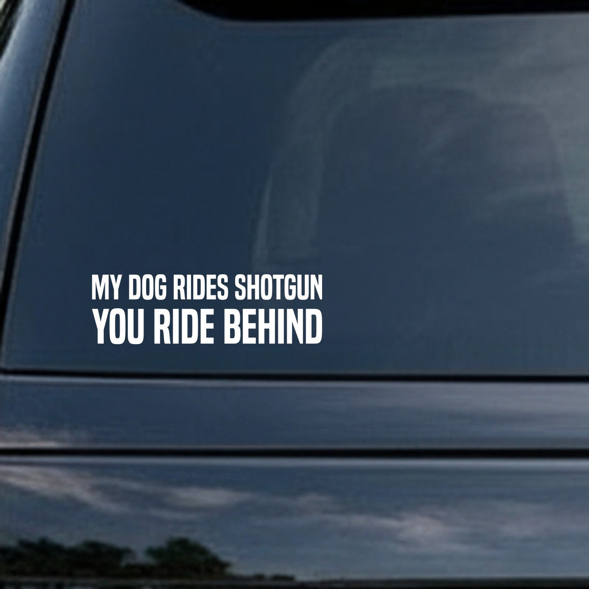 White block text decal on black background reading 'My Dog Rides Shotgun You Ride Behind' in bold capital letters
