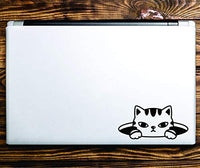 Dabbledown Cat Peeking from Hole V1 Laptop Version Car Window Windshield Lettering Decal Sticker Decals Stickers
