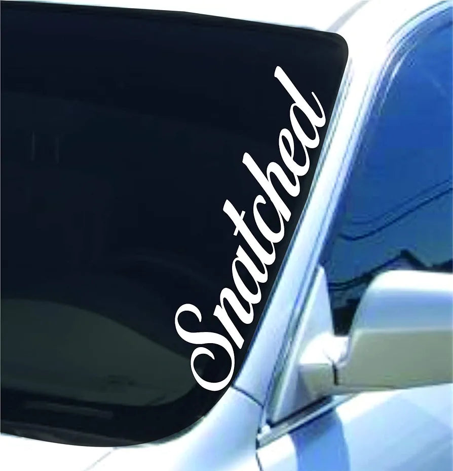 Dabbledown Snatched Version DD101 Lowrider Car Truck Window Windshield Lettering Decal Sticker Decals Stickers Drift Dub Lowered JDM Fresh Detailed Stance Fitment 4x4