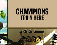 Dabbledown Decals Champions Train Here Window Lettering Decal